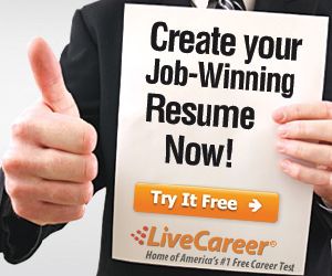 Try out this Free Online Resume Maker