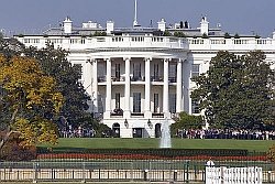 The White House